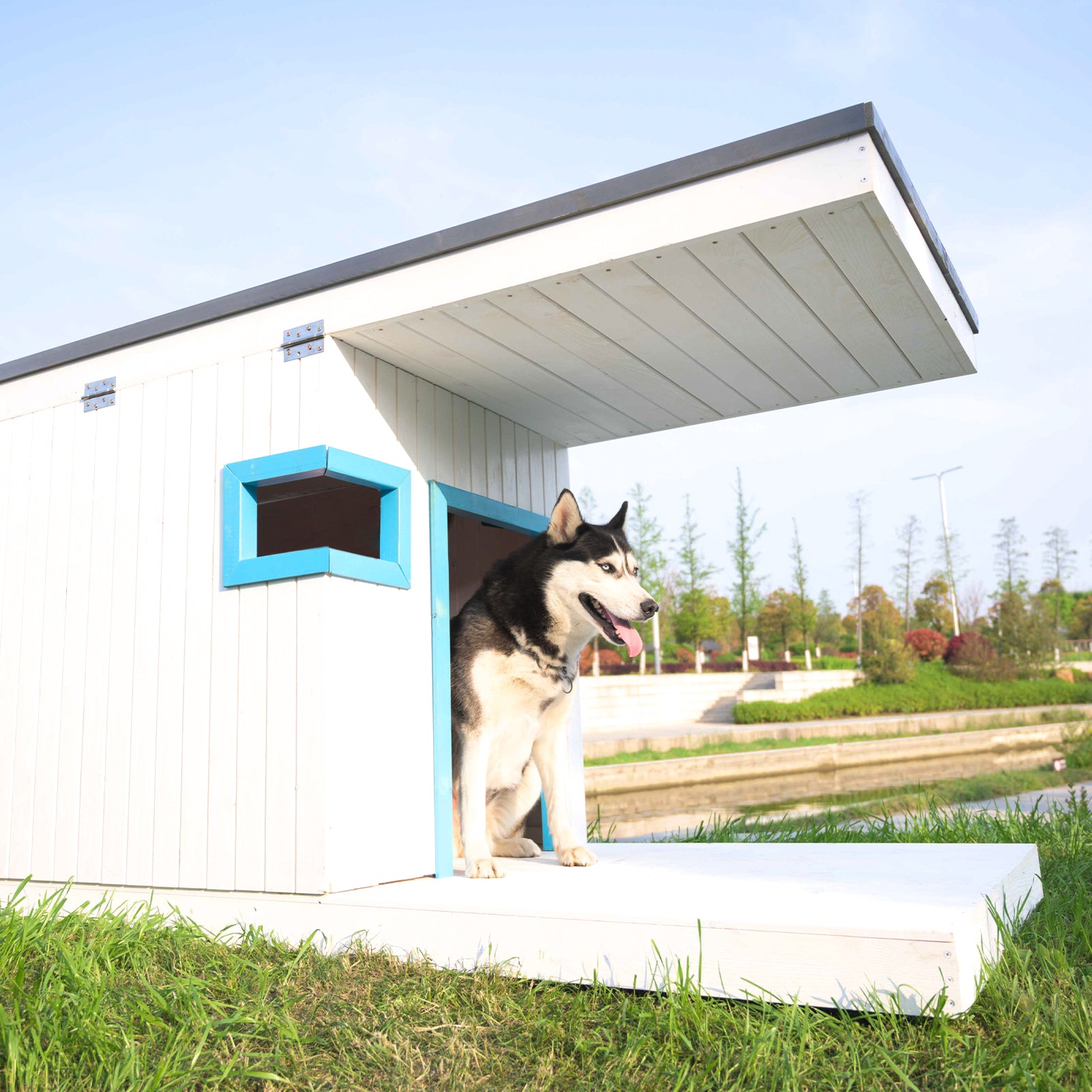 LaiFug dog house|Upgraded Dog House Revolutionizes the Market!