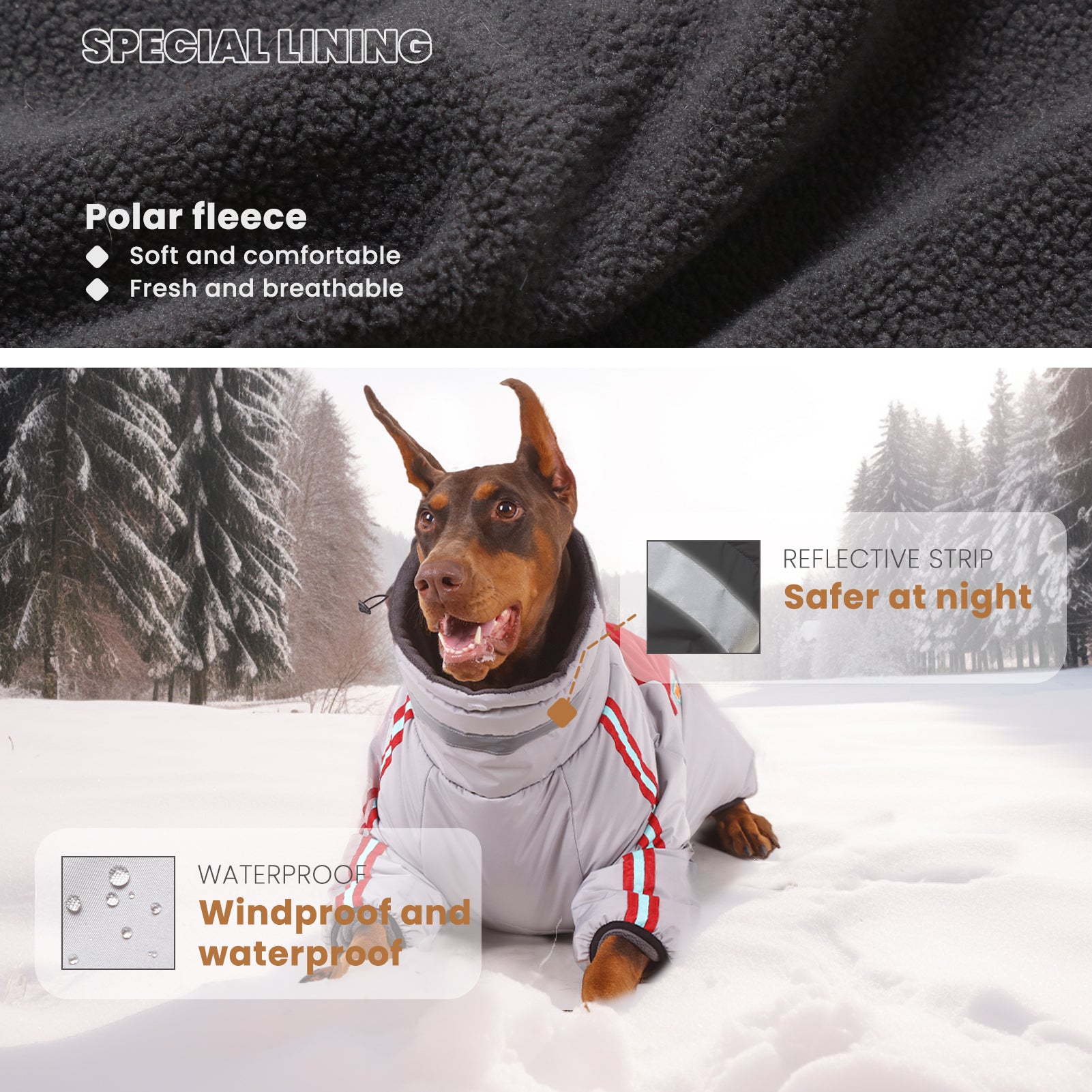 LaiFug Gray Red & Gray Blue Stand Collar Two Legs Dog Winter Coat