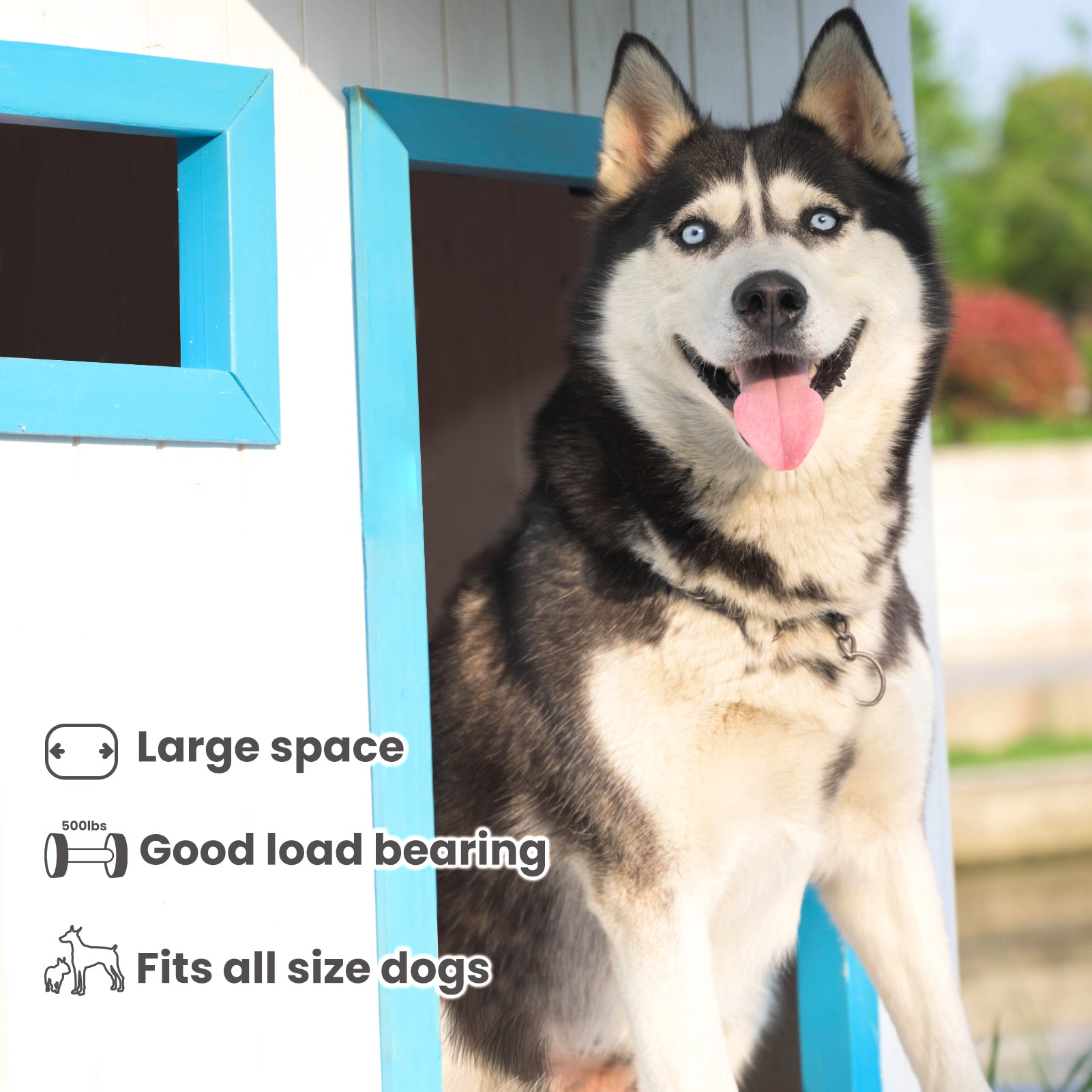 LaiFug dog house|Upgraded Dog House Revolutionizes the Market!