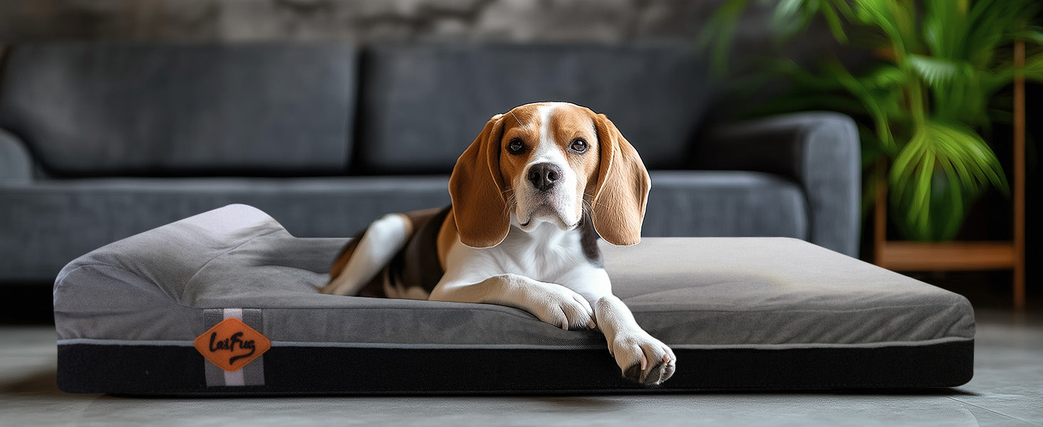 Laifug 422 Pillow-Style Memory Foam Dog Bed | Multi-Layer Sponge Support | Orthopedic Joint Relief | Waterproof Liner | Non-Slip Bottom | Removable Washable Cover