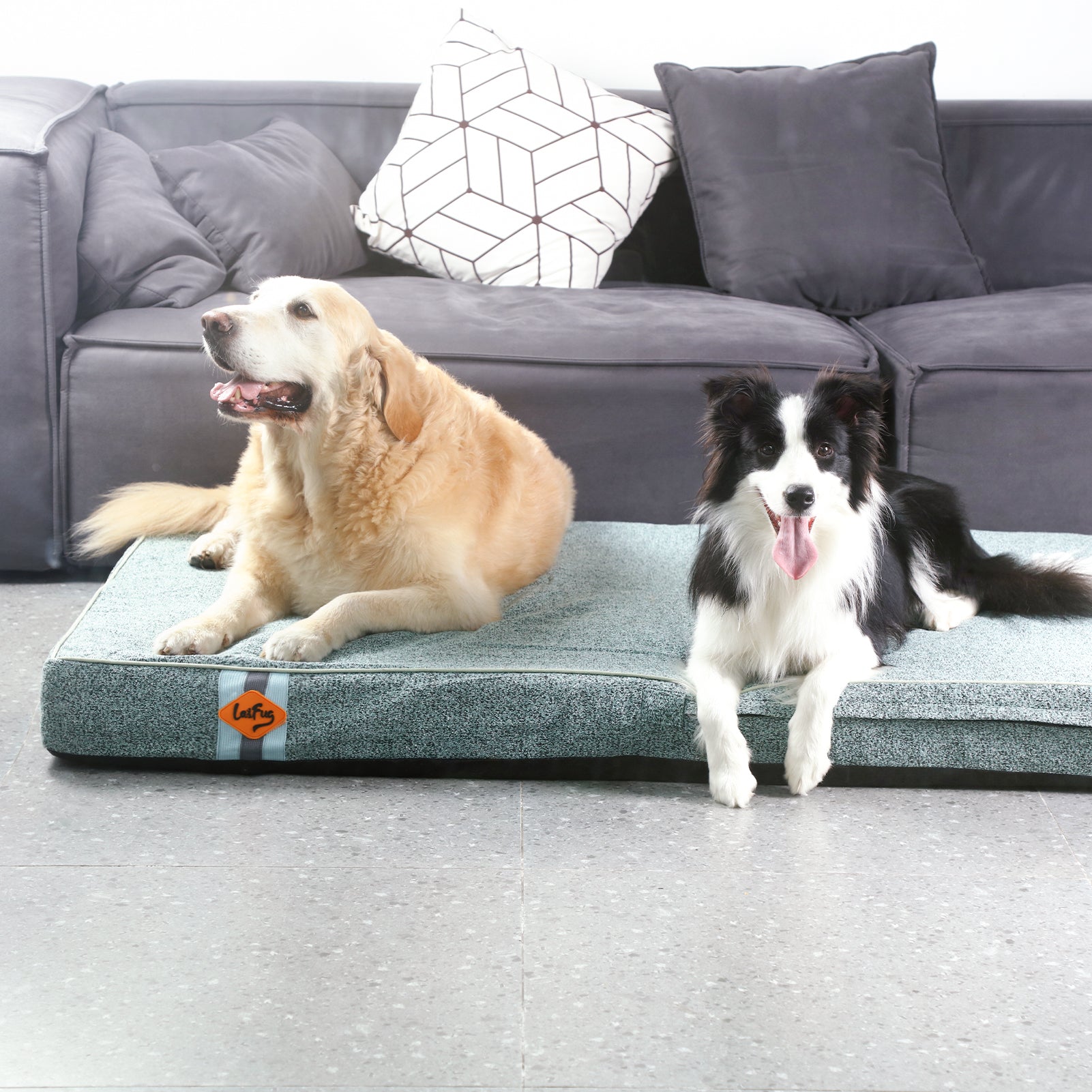 LaiFug 318 Flat Orthopedic Memory Foam Dog Bed
