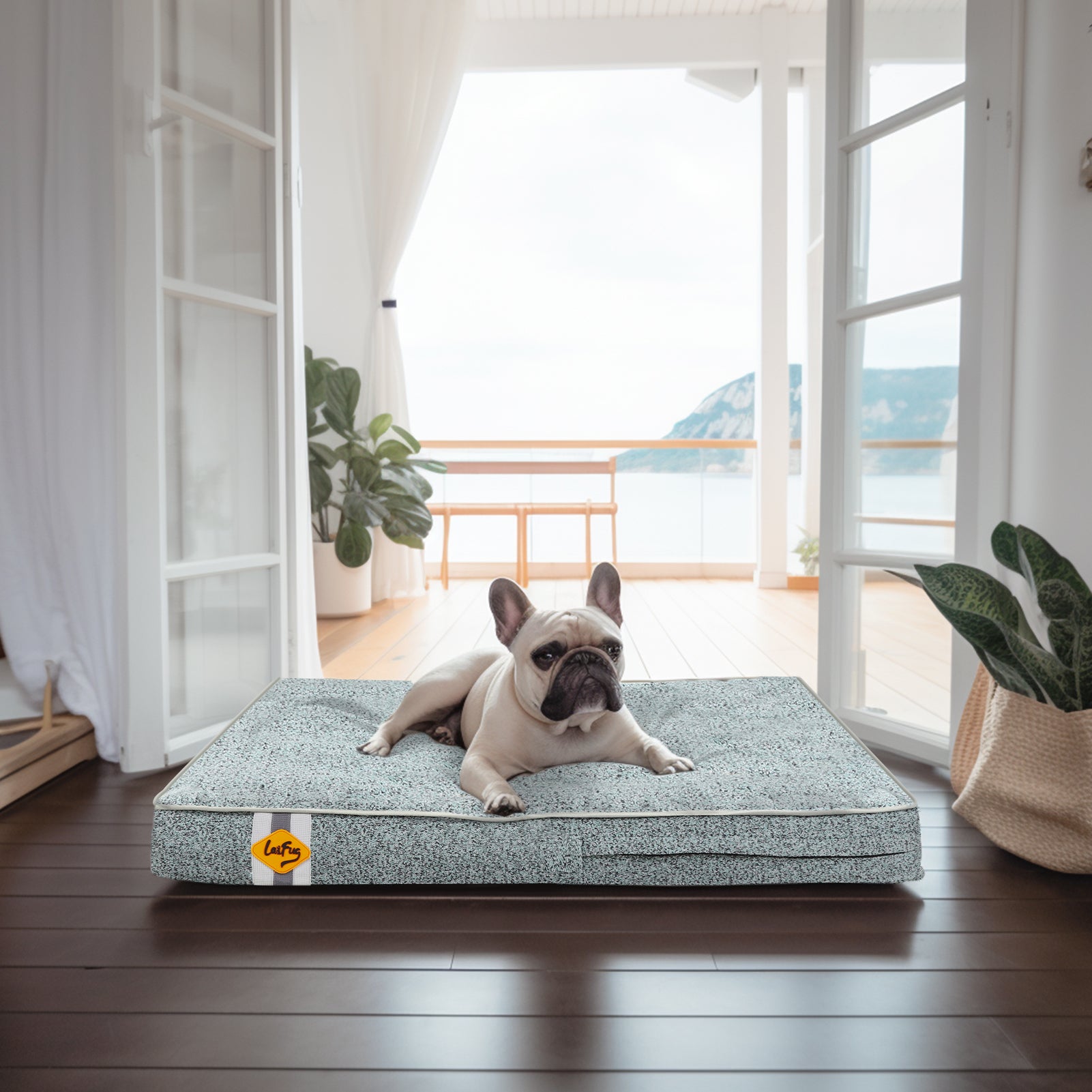 LaiFug 318 Flat Orthopedic Memory Foam Dog Bed