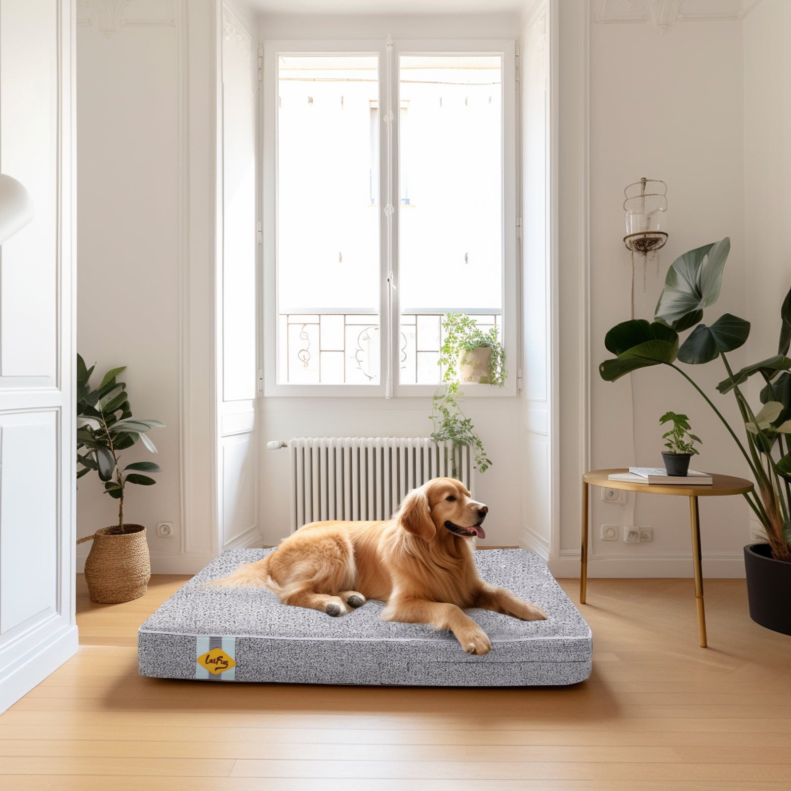 LaiFug 318 Flat Orthopedic Memory Foam Dog Bed