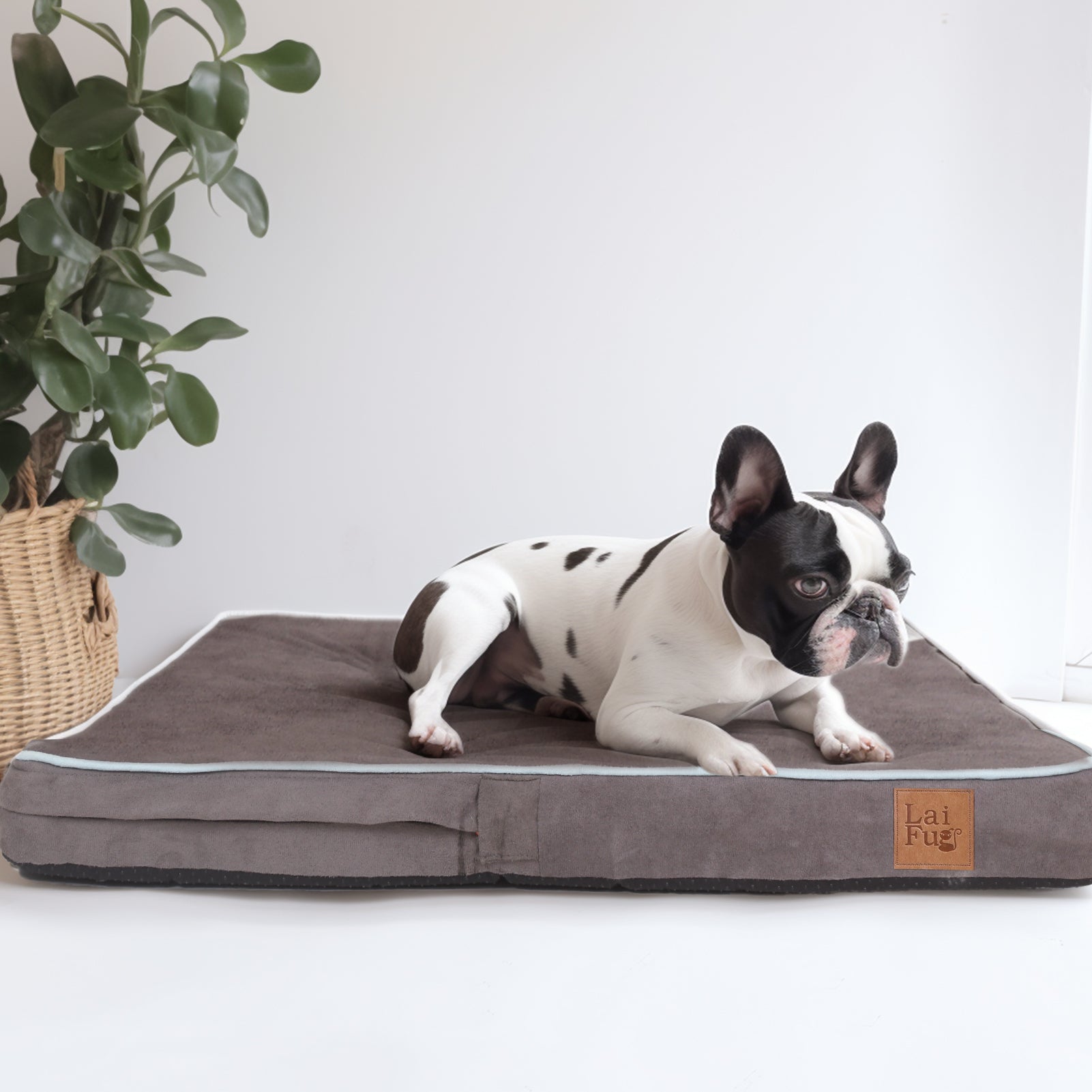 LaiFug 318 Flat Orthopedic Memory Foam Dog Bed