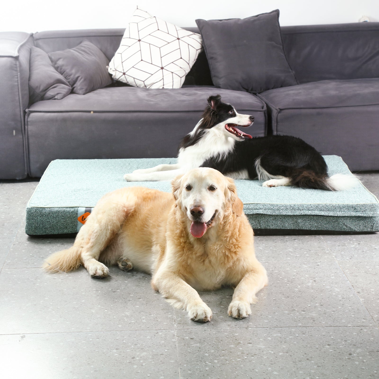 LaiFug 318 Flat Orthopedic Memory Foam Dog Bed