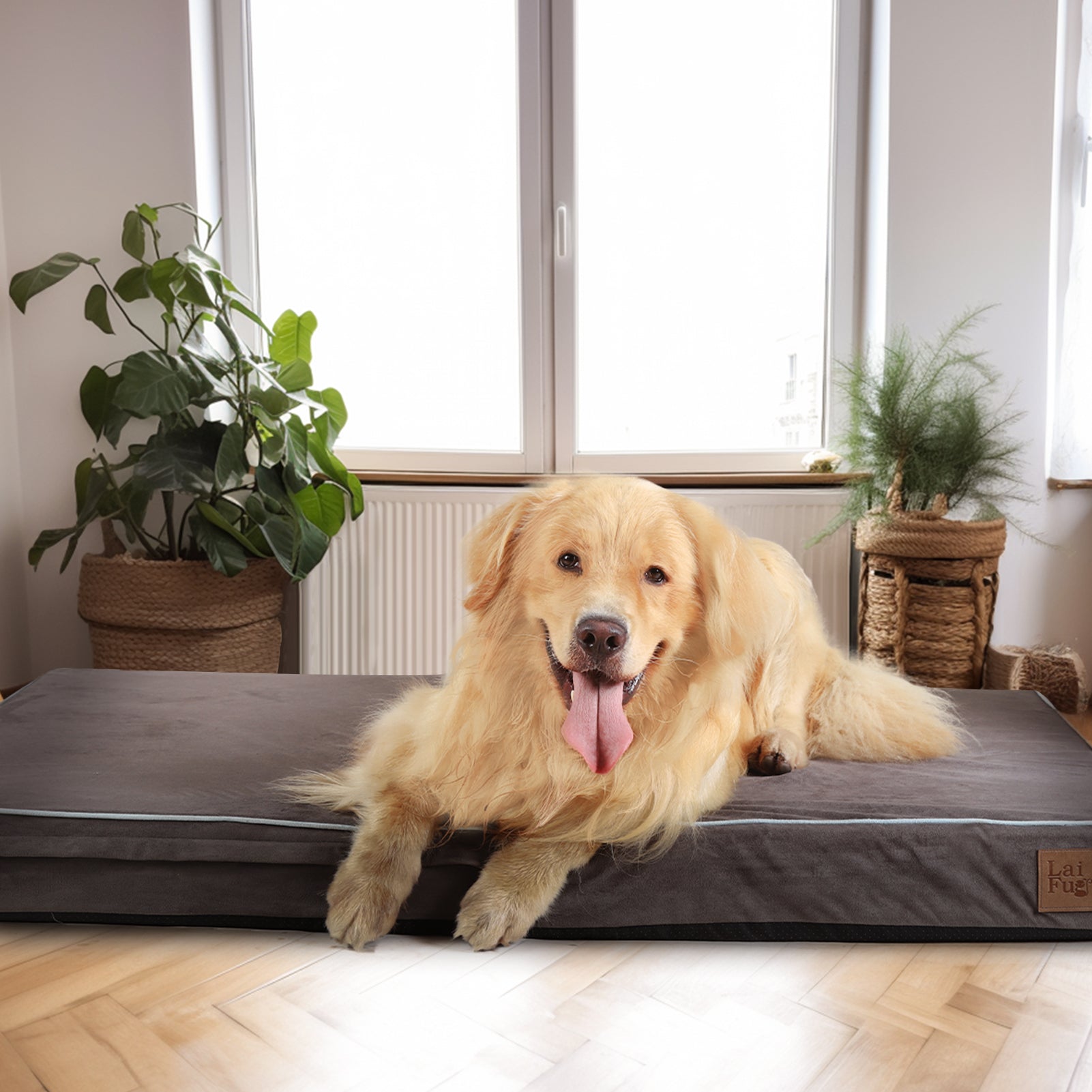 LaiFug 318 Flat Orthopedic Memory Foam Dog Bed