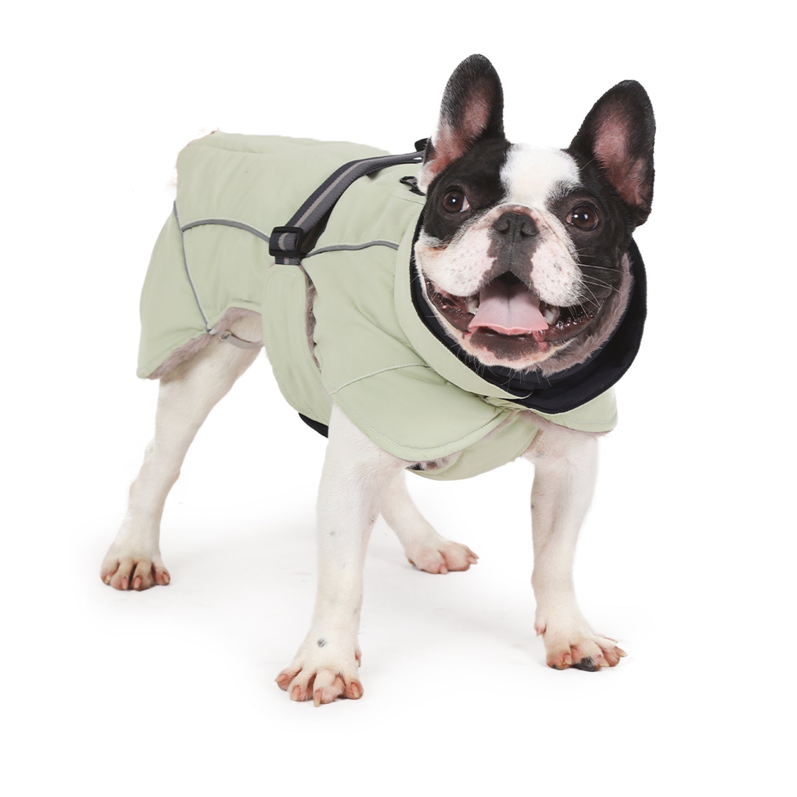 LaiFug Green Stand Collar Cloak Dog Winter Coat