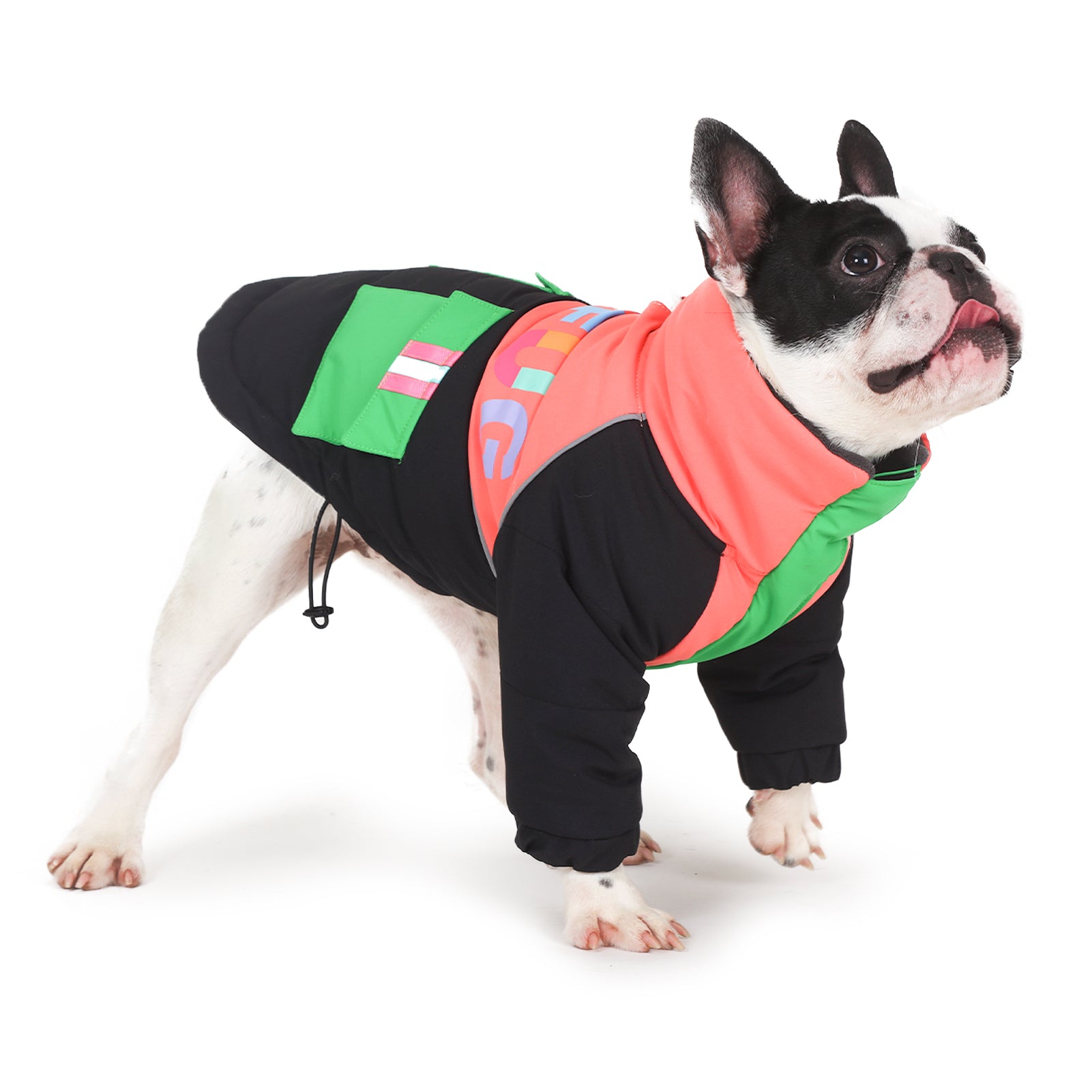 LaiFug Stand Collar Two Legs Dog Winter Coat