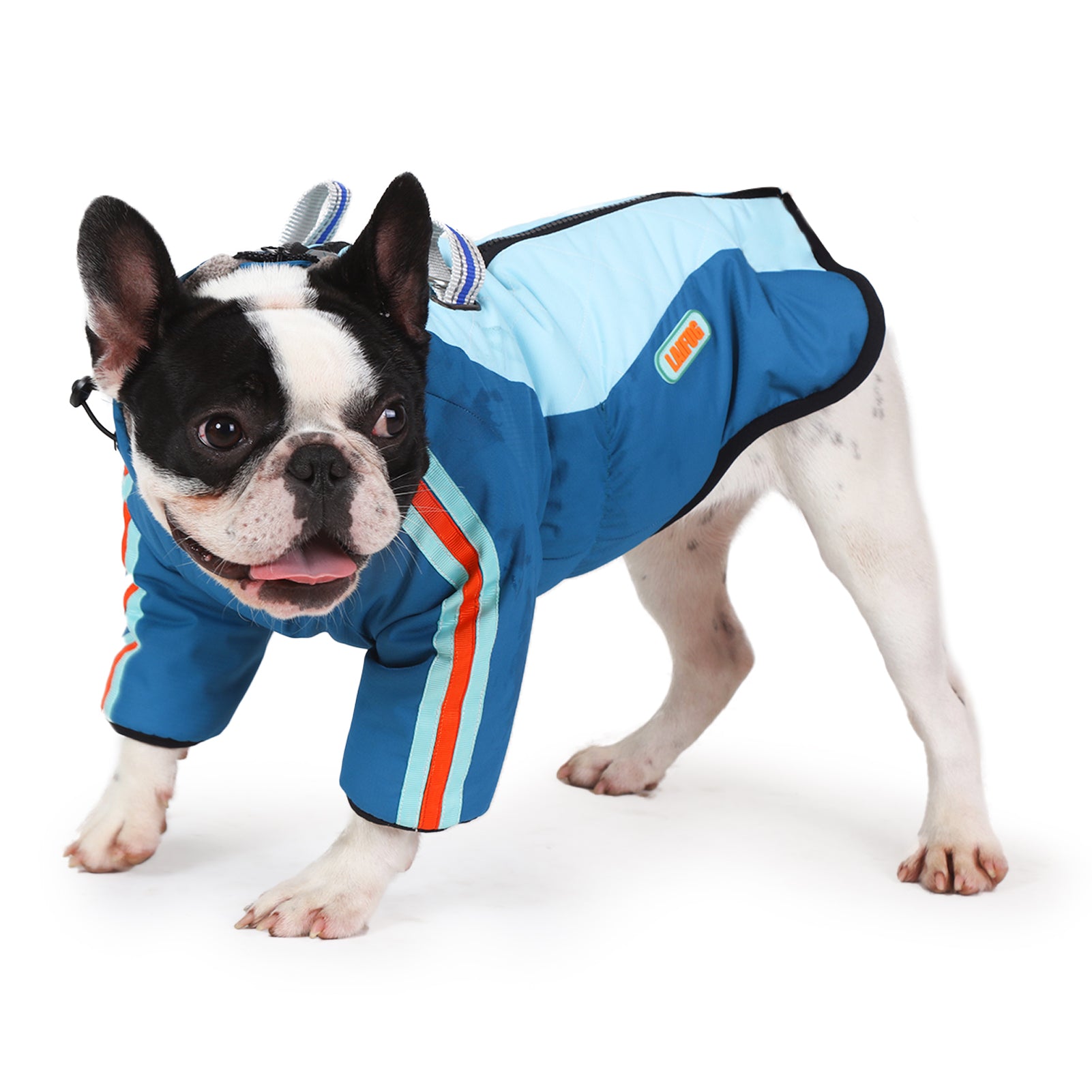 LaiFug Gray Red & Gray Blue Stand Collar Two Legs Dog Winter Coat