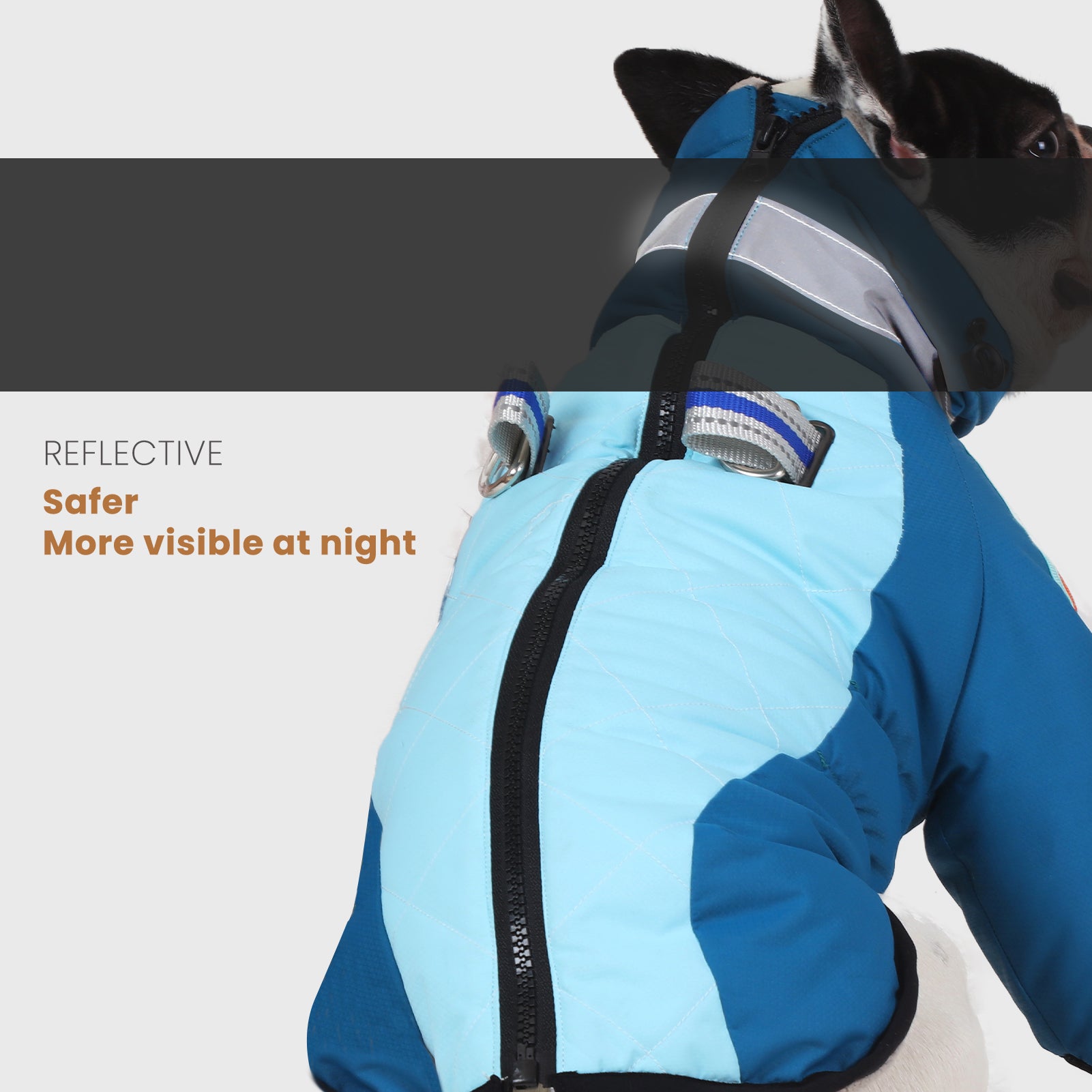 LaiFug Gray Red & Gray Blue Stand Collar Two Legs Dog Winter Coat