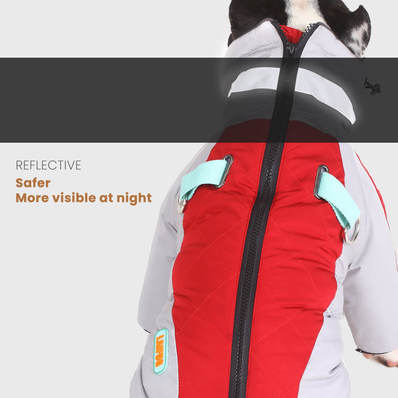 LaiFug Gray Red & Gray Blue Stand Collar Two Legs Dog Winter Coat