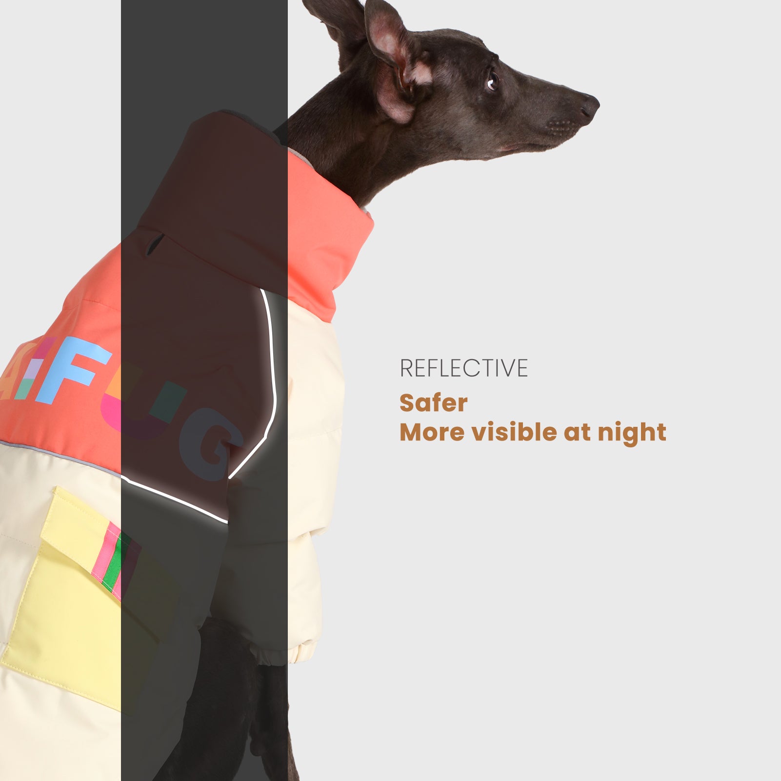 LaiFug Stand Collar Two Legs Dog Winter Coat