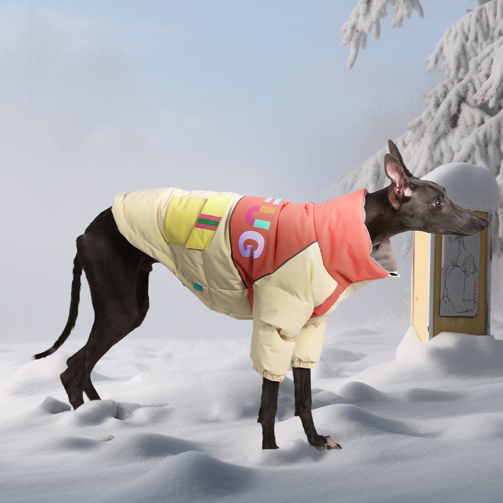 LaiFug Stand Collar Two Legs Dog Winter Coat