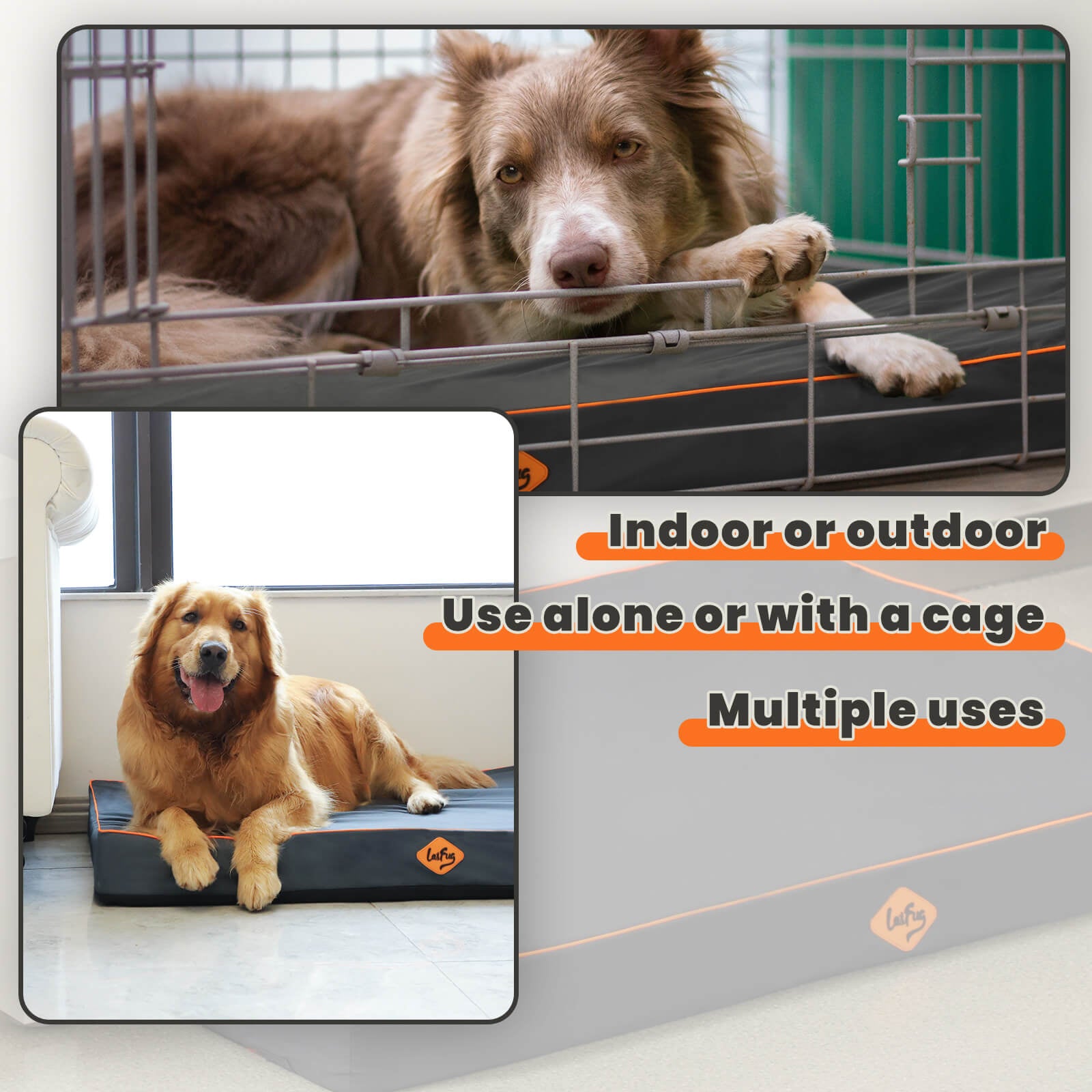 LaiFug Egg-Crate Foam Dog Bed – High-Density Pressure Relief