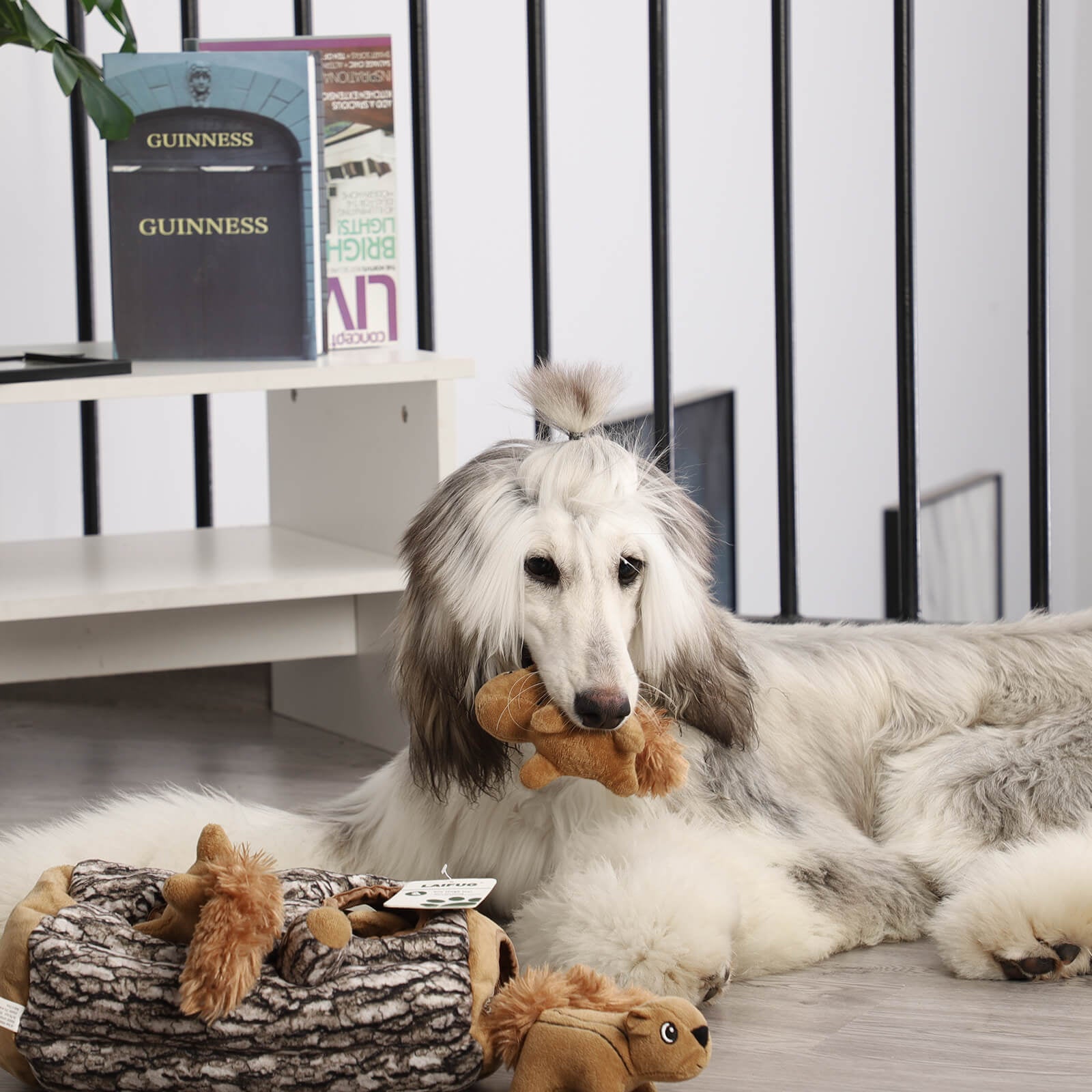 LaiFug Hidden Squirrel Plush Dog Toy – Interactive Hide and Seek Puzzle