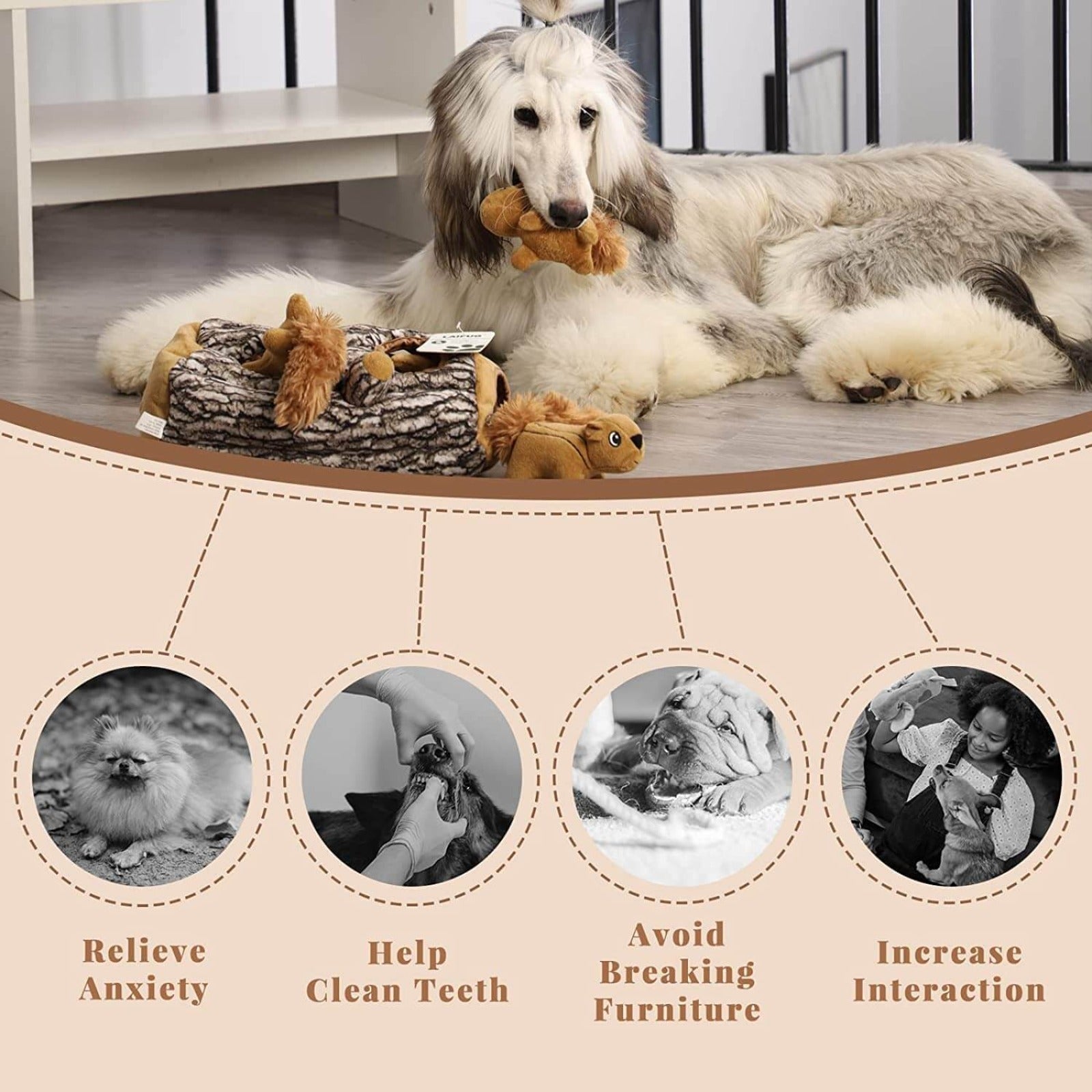 LaiFug Hidden Squirrel Plush Dog Toy – Interactive Hide and Seek Puzzle