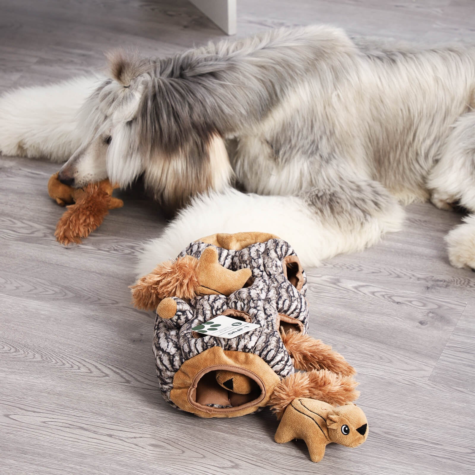 LaiFug Hidden Squirrel Plush Dog Toy – Interactive Hide and Seek Puzzle