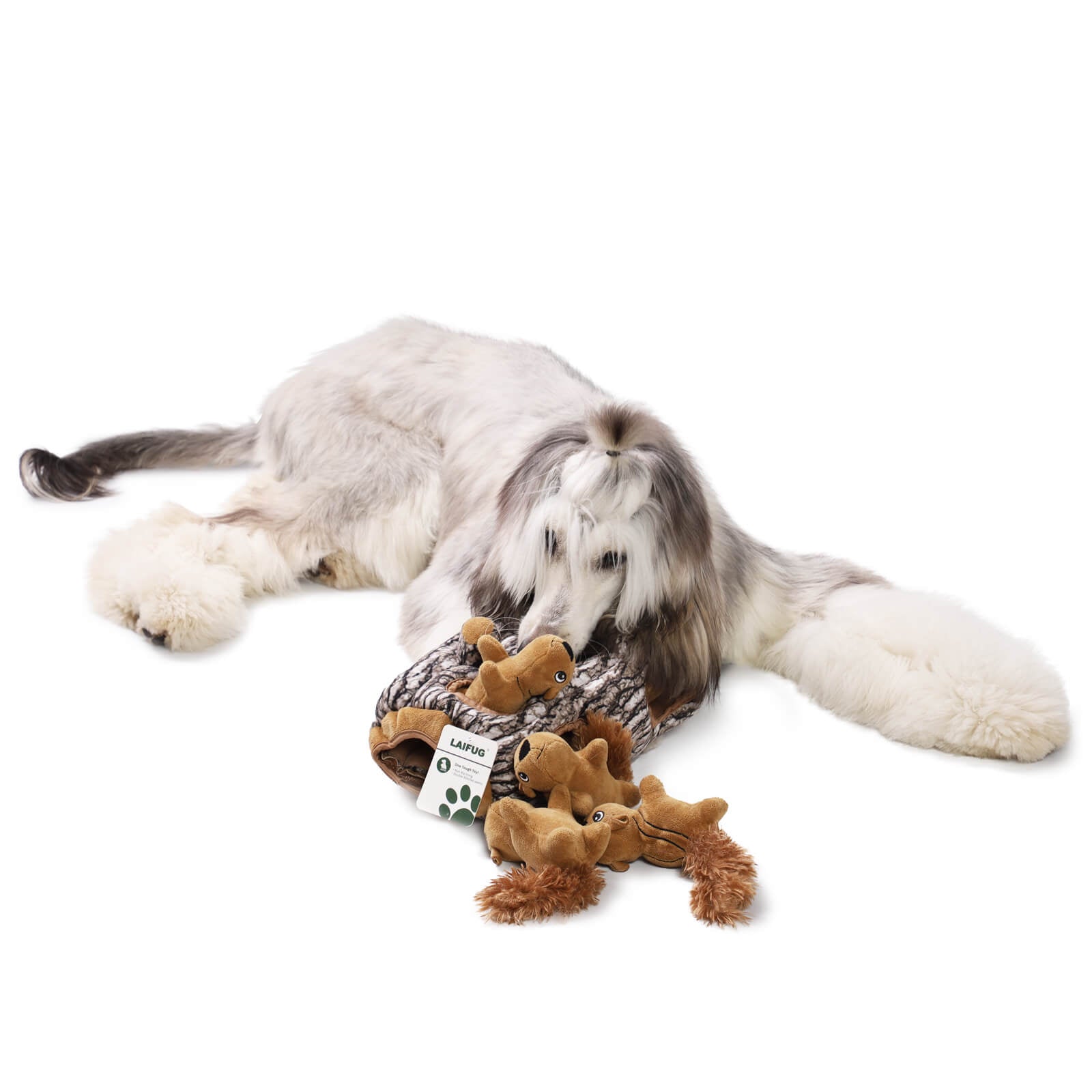 LaiFug Hidden Squirrel Plush Dog Toy – Interactive Hide and Seek Puzzle