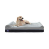 LaiFug 422 Jumbo Orthopedic Memory Foam Dog Bed – Double Pillow Support