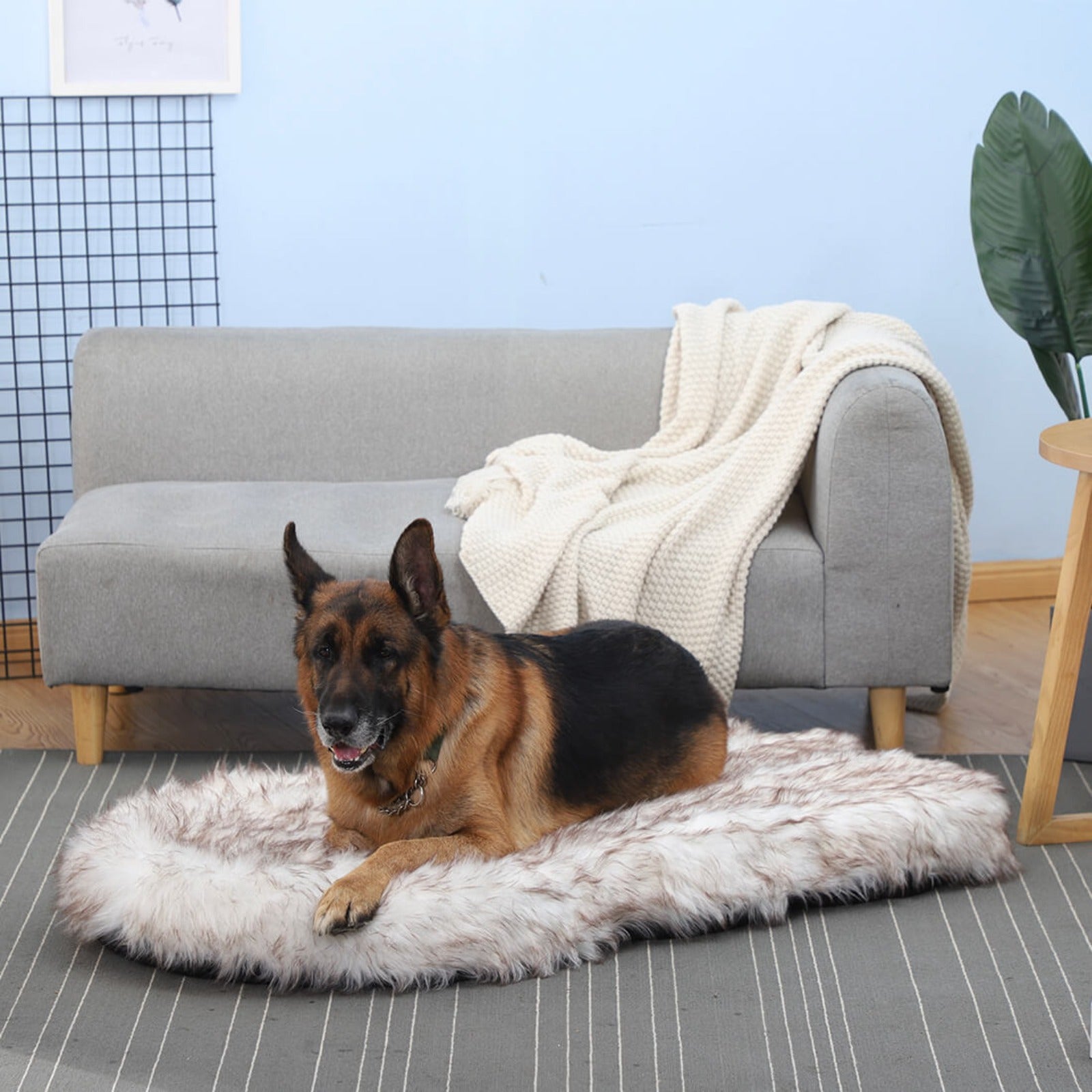 LaiFug 360 Memory Foam Dog Bed – Jumbo Faux Fur Pet Lounger
