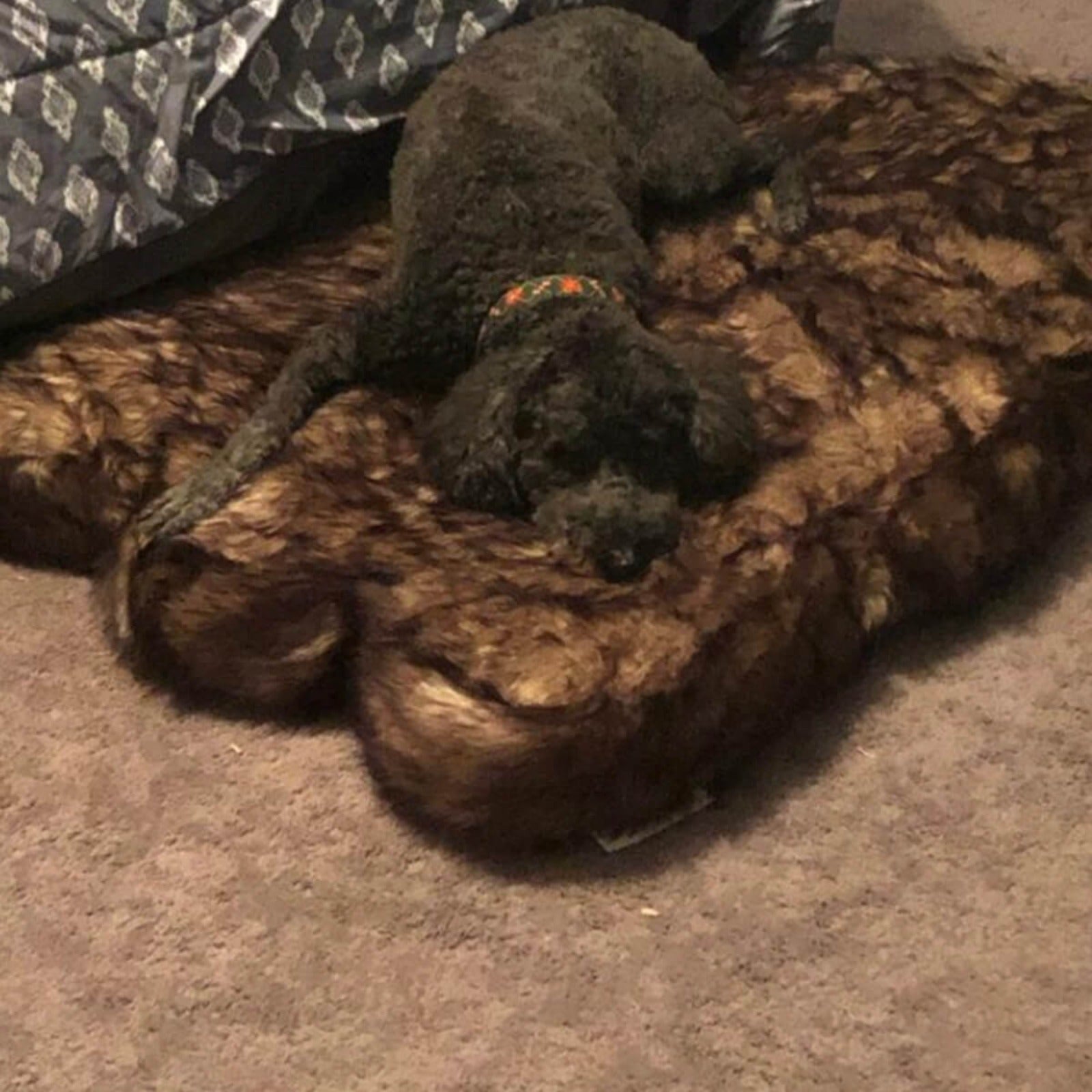 LaiFug 360 Memory Foam Dog Bed – Jumbo Faux Fur Pet Lounger