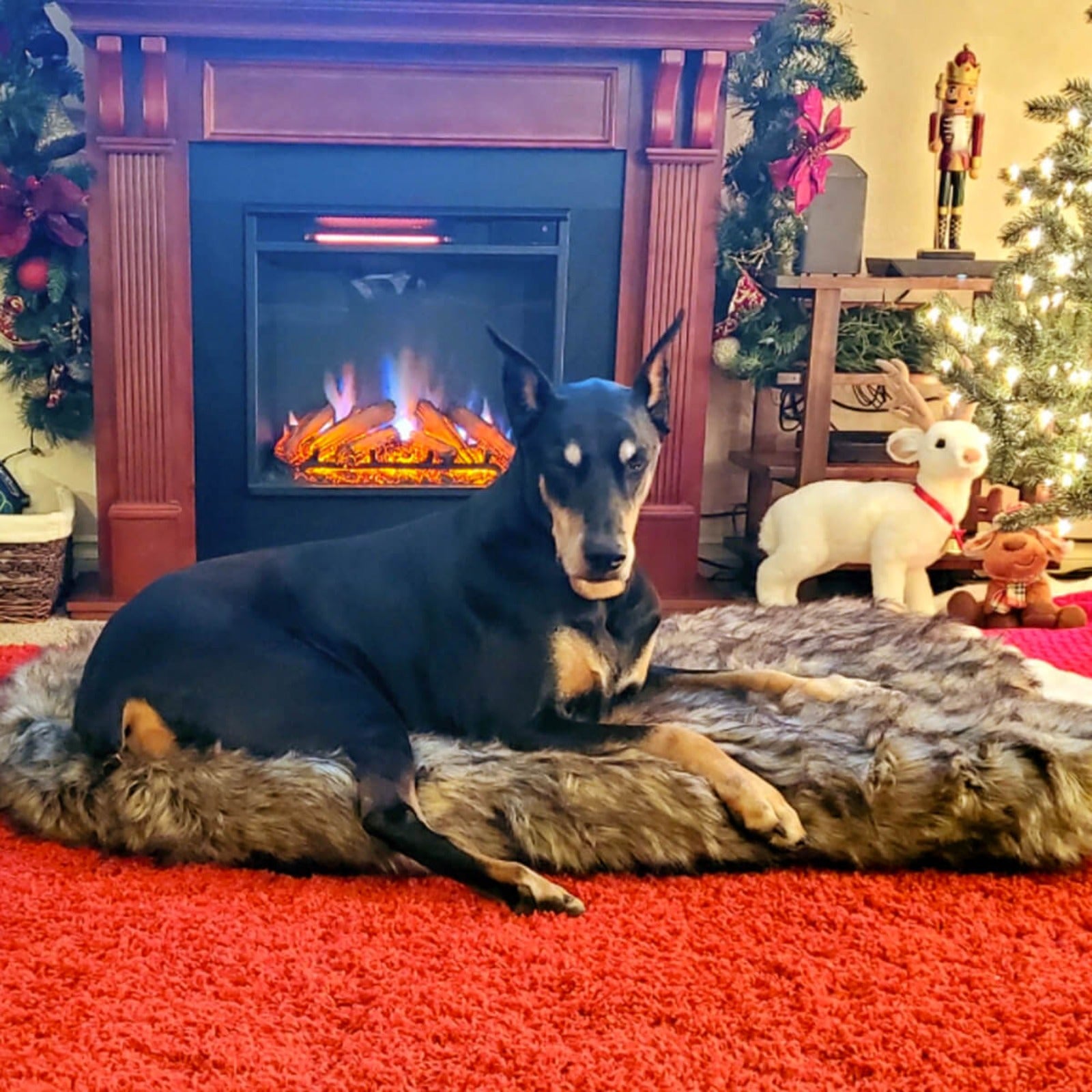 LaiFug 360 Memory Foam Dog Bed – Jumbo Faux Fur Pet Lounger