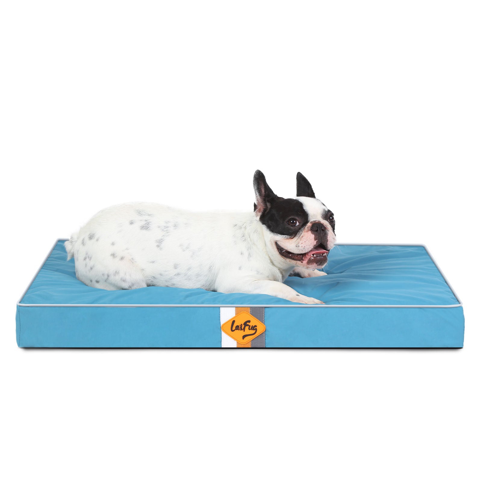 LaiFug Egg-Crate Foam Dog Bed – High-Density Pressure Relief