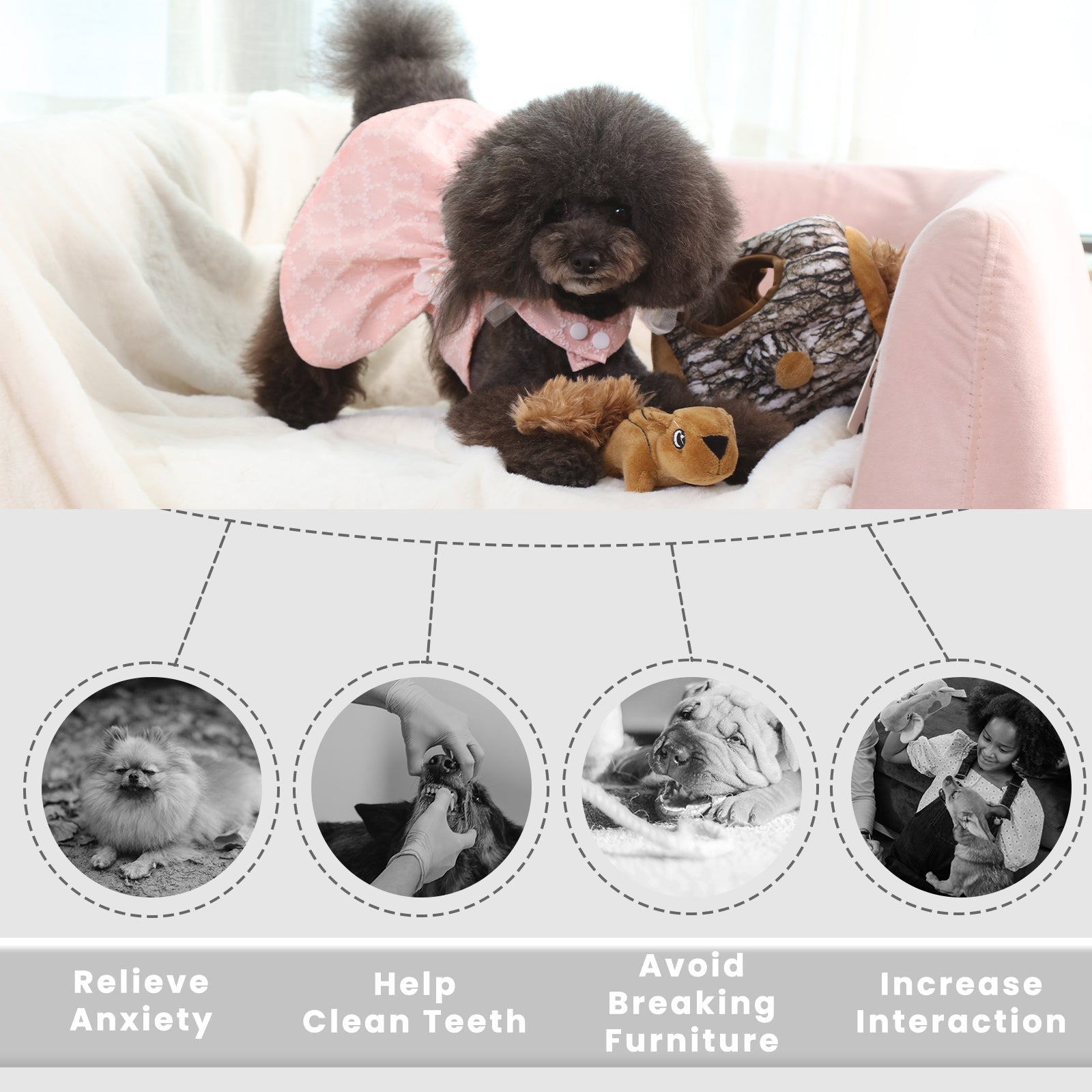 LaiFug Hidden Squirrel Plush Dog Toy – Interactive Hide and Seek Puzzle