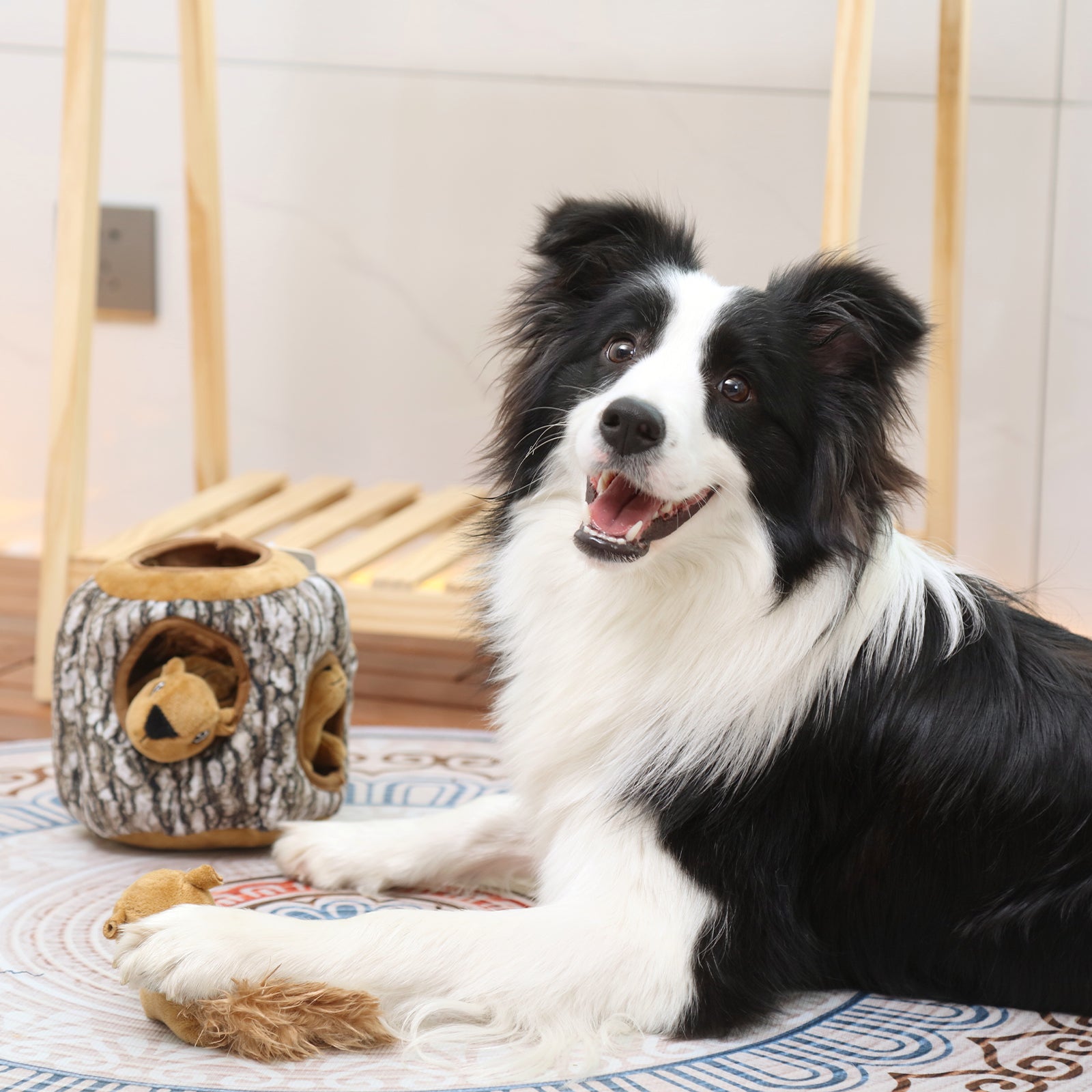 LaiFug Hidden Squirrel Plush Dog Toy – Interactive Hide and Seek Puzzle