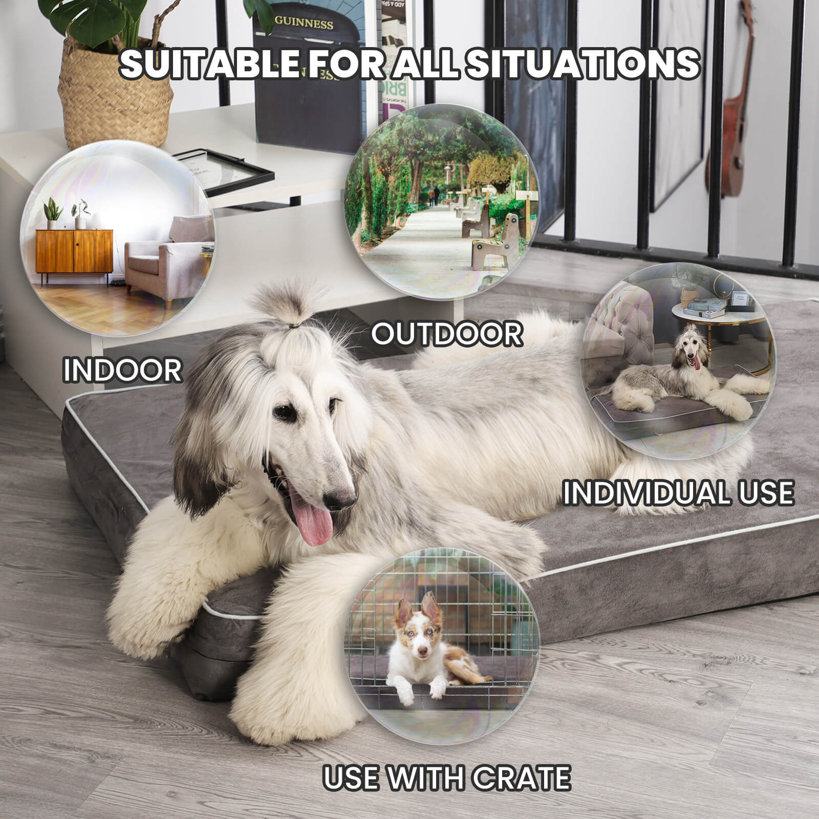 LaiFug 318 Flat Orthopedic Memory Foam Dog Bed