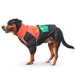 LaiFug Stand Collar Two Legs Dog Winter Coat
