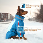 LaiFug Gray Red & Gray Blue Stand Collar Two Legs Dog Winter Coat