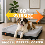 Laifug 422 Pillow-Style Memory Foam Dog Bed | Multi-Layer Sponge Support | Orthopedic Joint Relief | Waterproof Liner | Non-Slip Bottom | Removable Washable Cover