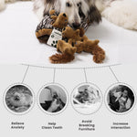 LaiFug Hidden Squirrel Plush Dog Toy – Interactive Hide and Seek Puzzle