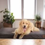 LaiFug 318 Memory Foam Dog Bed, Orthopedic Dog Crate Bed Small-jumbo