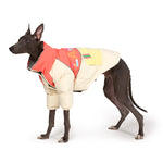 LaiFug Stand Collar Two Legs Dog Winter Coat