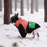 LaiFug Stand Collar Two Legs Dog Winter Coat