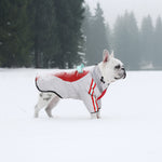 LaiFug Gray Red & Gray Blue Stand Collar Two Legs Dog Winter Coat