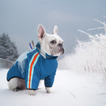 LaiFug Gray Red & Gray Blue Stand Collar Two Legs Dog Winter Coat
