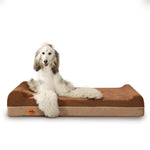 LaiFug 422 Jumbo Orthopedic Memory Foam Dog Bed – Double Pillow Support