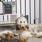 LaiFug Hidden Squirrel Plush Dog Toy – Interactive Hide and Seek Puzzle