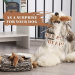 LaiFug Hidden Squirrel Plush Dog Toy – Interactive Hide and Seek Puzzle