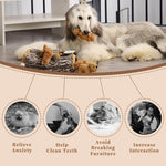 LaiFug Hidden Squirrel Plush Dog Toy – Interactive Hide and Seek Puzzle