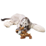 LaiFug Hidden Squirrel Plush Dog Toy – Interactive Hide and Seek Puzzle
