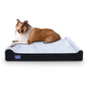 LaiFug 422 Jumbo Orthopedic Memory Foam Dog Bed – Double Pillow Support