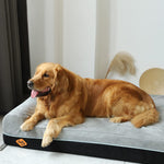 LaiFug 422 Jumbo Orthopedic Memory Foam Dog Bed – Double Pillow Support