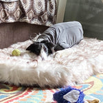 LaiFug 360  Memory Foam Dog Bed – Jumbo Faux Fur Pet Lounger