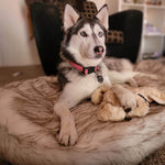 LaiFug 360  Memory Foam Dog Bed – Jumbo Faux Fur Pet Lounger