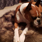 LaiFug 360  Memory Foam Dog Bed – Jumbo Faux Fur Pet Lounger
