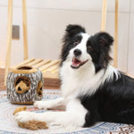 LaiFug Hidden Squirrel Plush Dog Toy – Interactive Hide and Seek Puzzle